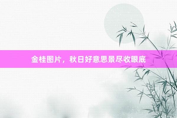 金桂图片，秋日好意思景尽收眼底