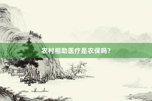 农村相助医疗是农保吗？